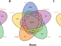 -Where Humanity Sits