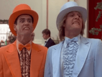 -Ignorance and Stupidity