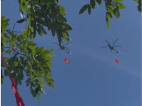 -JW Consciousness Stream – 28 November&nbsp;2025